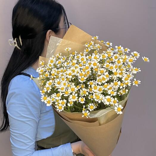 Букет Ромашек 11шт