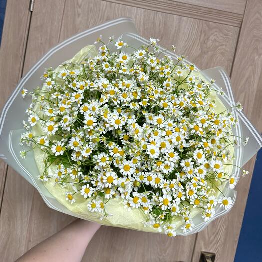Букет кустовые ромашки 15 шт