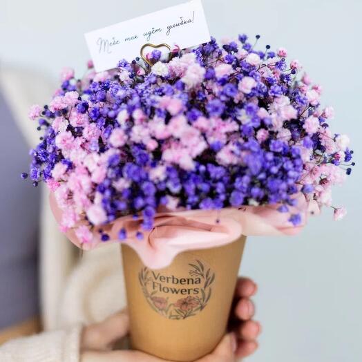 Verbena Flowers