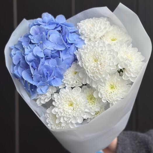 Трио из голубой гортензии и белых хризантем