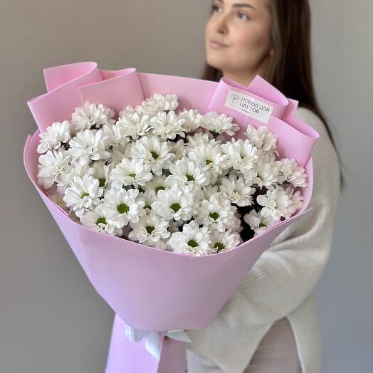 Ромашки