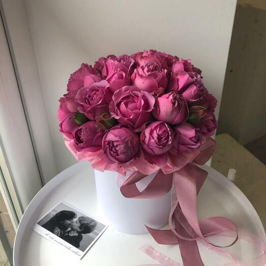 Розовая пионовидная кустовая Роза в белой коробке (размер s)