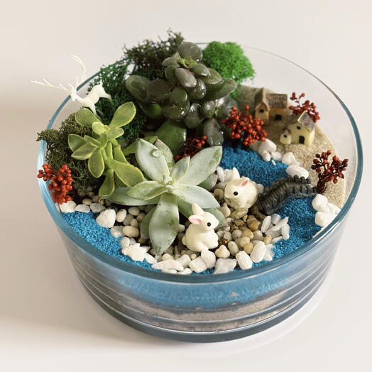 Plan Plants