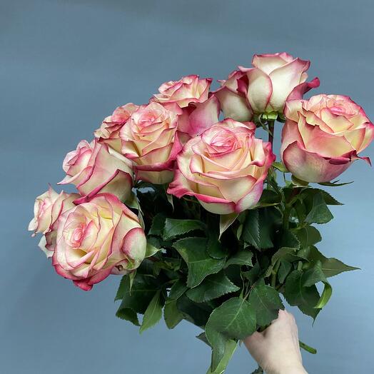 Rose 60cm 11pcs