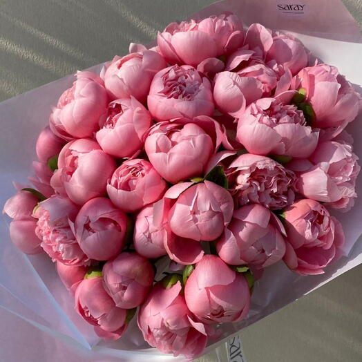 Peonies Etched salmon