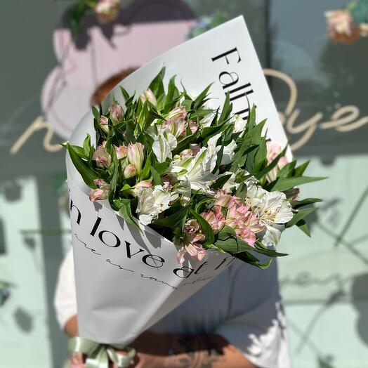 Монобукет из 13 бело-розовых альстромерий "Гармония"