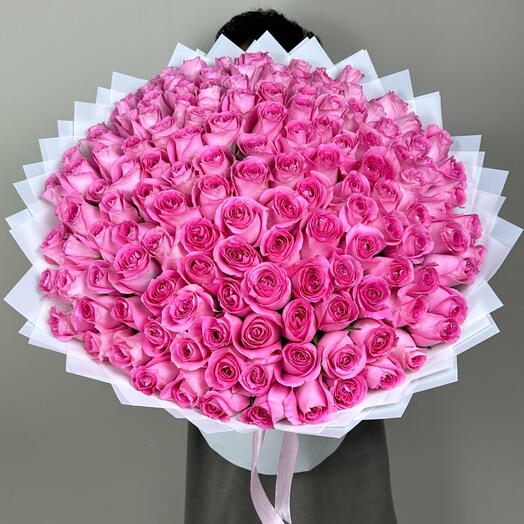 151 pink roses