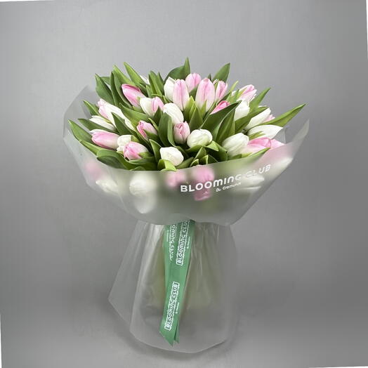 51 White and Pink Tulips Bouquet