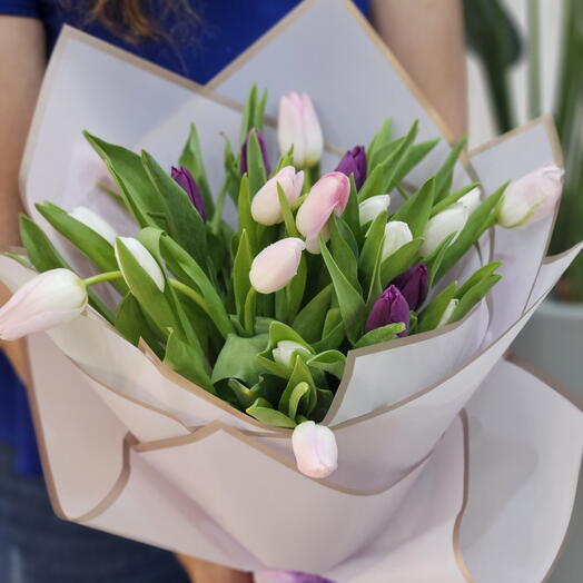 24 purple mix tulips