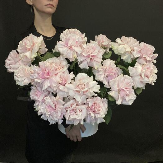 Цветы в коробке