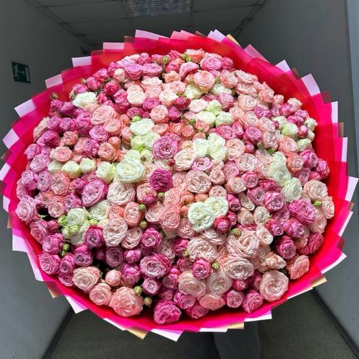 Кустовая роза пионовидная микс