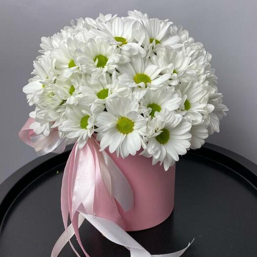 Композиция из Ромашковых хризантем в коробке