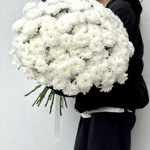 Mr.Flower