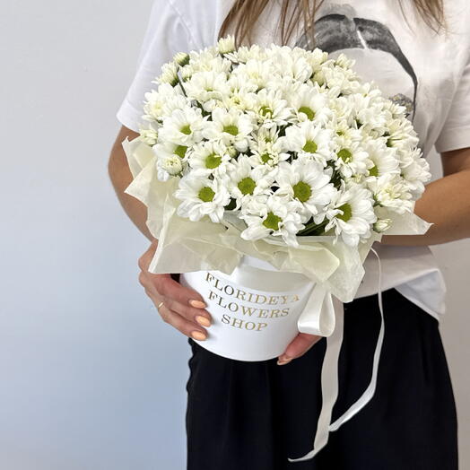 Cvety Florideya
