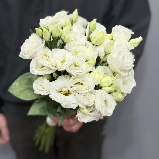 NFLOWER·R