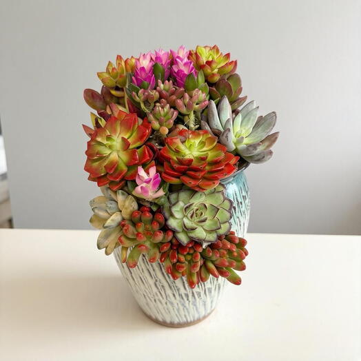 SUNFLOR
