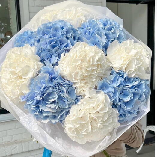Blue and White Hortensias Duo Bouquet