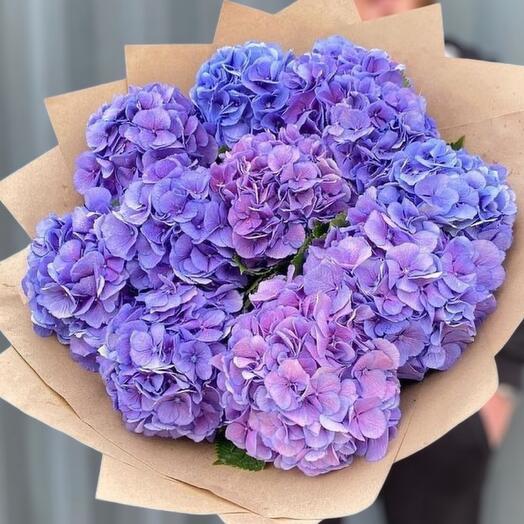 Bouquet of purple hydrangeas 11 pieces