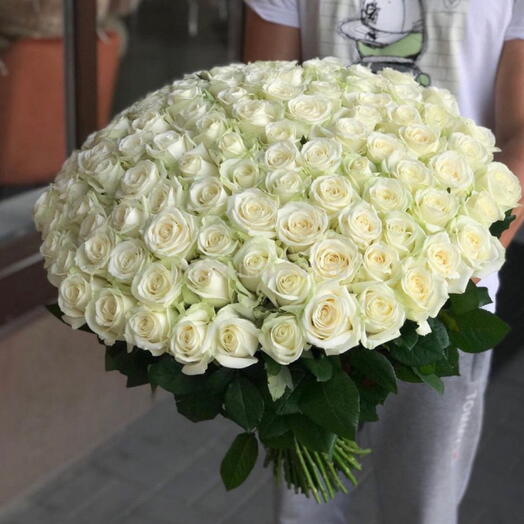 101 white rose