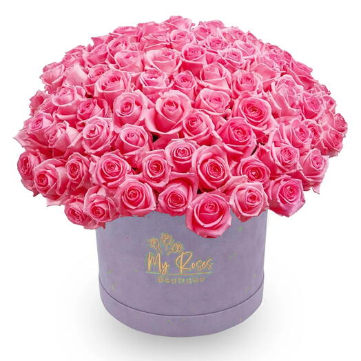 Light Purple Velvet Box With 200 Pink Roses