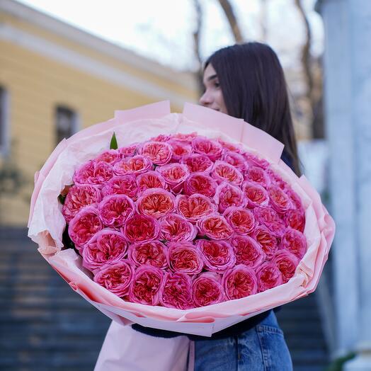 51 Piona bənzər holland roza
