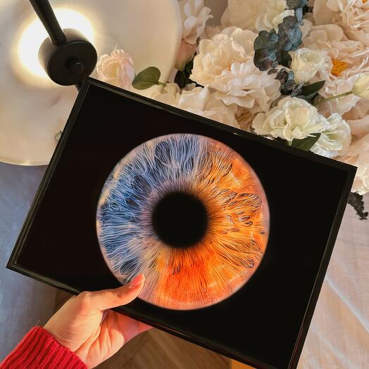 Электронный Сертификат на фото радужки глаза "2 в 1" А4