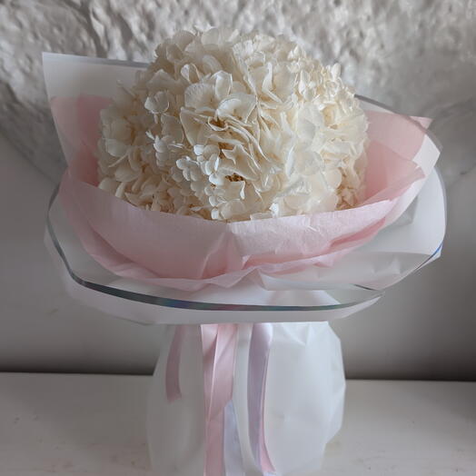 ROZEN