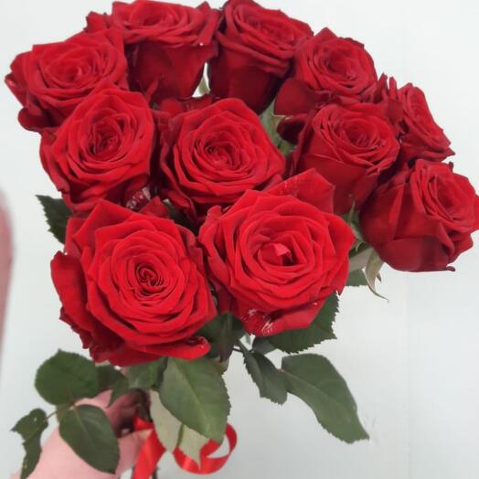 Rosa roja