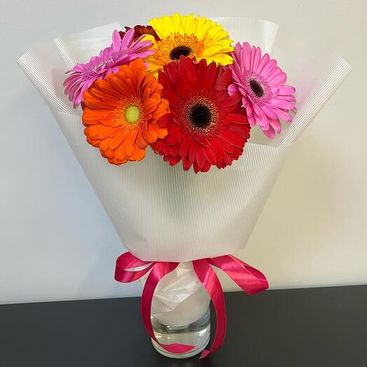 Разноцветные Герберы
