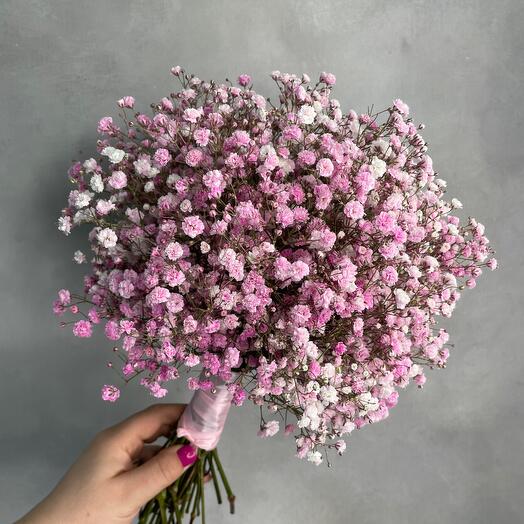Amsterdam flowers