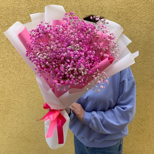 Ramo de gypsophila rosa