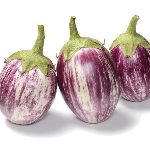 50 Seeds - Purple King - Round Aubergine - Eggplant - Brinjal Seeds (UK Seller)