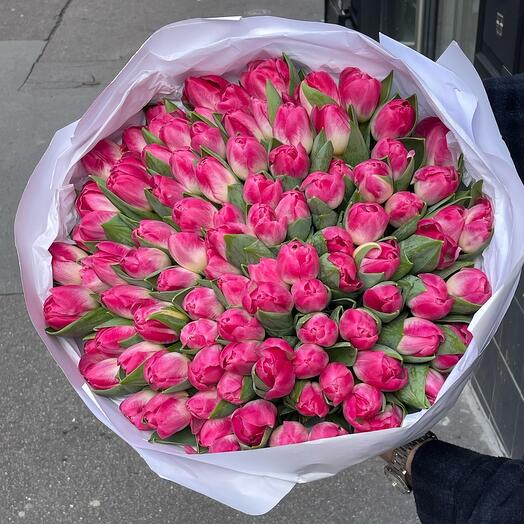 Tulips pink 100 stems