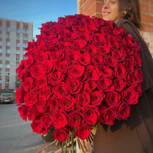 Букет из 101 Эквадорской розы 70 см. (сорт Explorer)