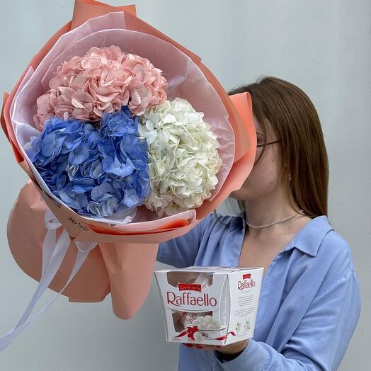 Комбо из 3-х гортензий и Рафаэло