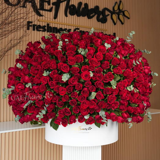 Grand XXXL Dome Of Red Roses