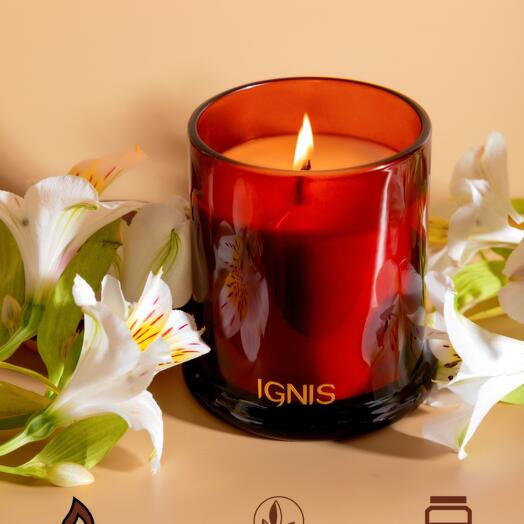 Интерьерная ароматическая свеча IGNIS Caribbean Teakwood 250 мл, в стакане