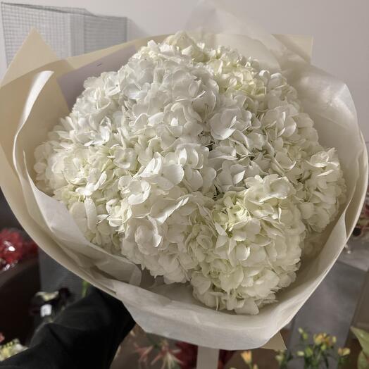 Hortensia blanc 13 stems