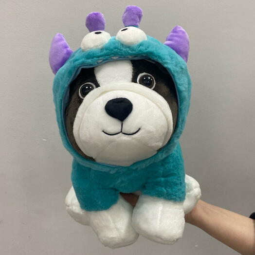 Собачка в голубом костюме