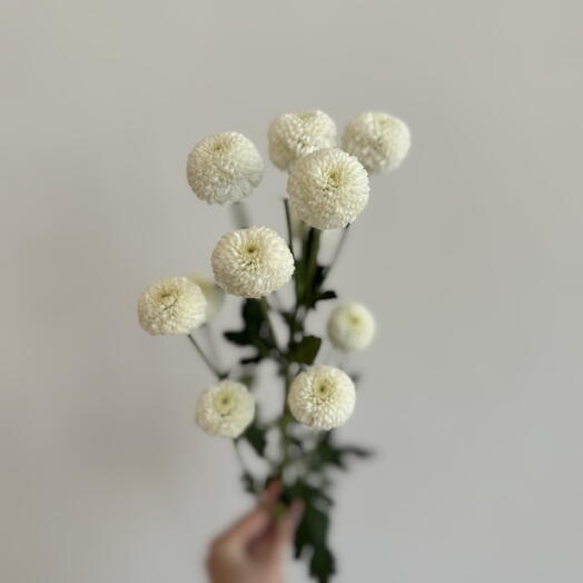 TIFFANY FLOWERS