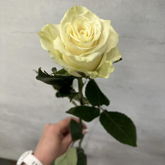 Flowers for you