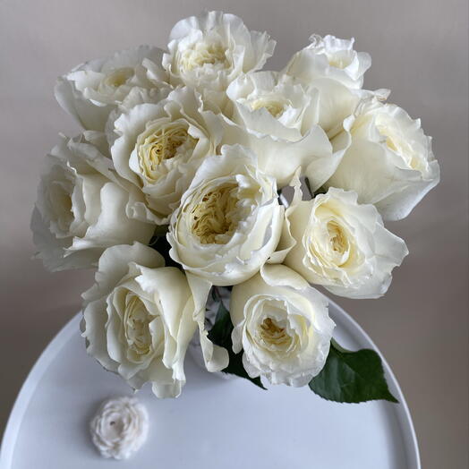 Rose Maria