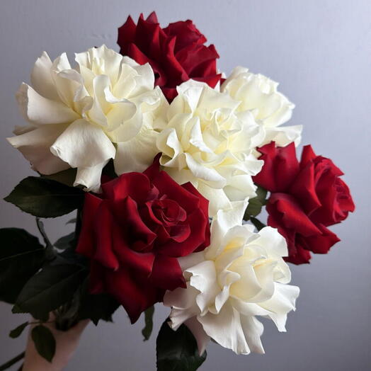 Volkova flowers