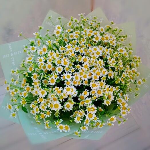 Summer bouquet of daisies //for mom, on her birthday, for a girl
