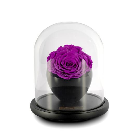 Merlot Preserved Roses in crystal vase Single