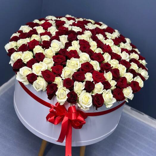 201 red and white roses in a box