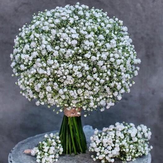 Toooy flowers 