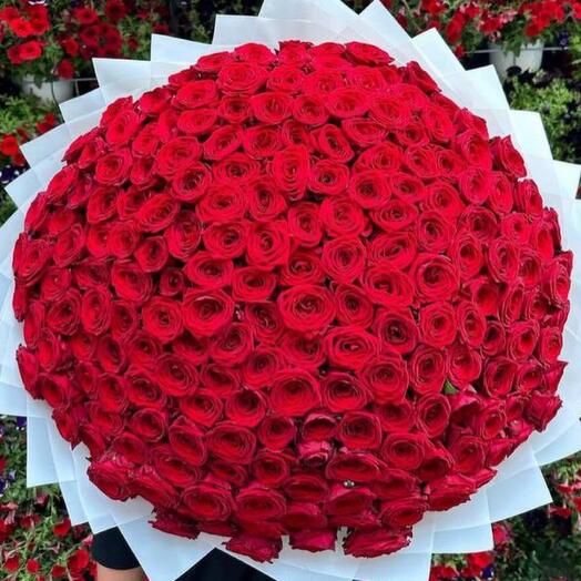 Bouquet of 201 red roses