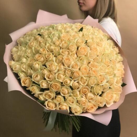 Роза 101