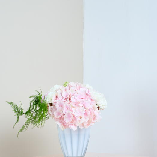 Blush Hydrangea Delight